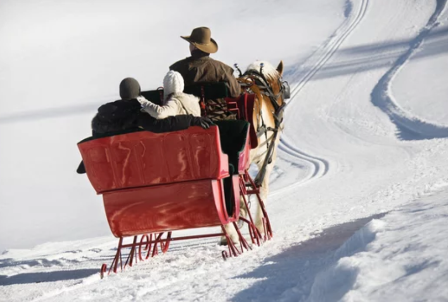 A Couple in a Horse-Drawn Sleigh